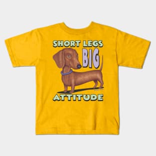 Cute Brown Doxie  with classic pose short legs big attitude Kids T-Shirt